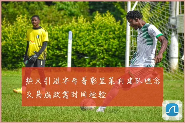 热火引进字母哥彰显莱利建队理念交易成效需时间检验